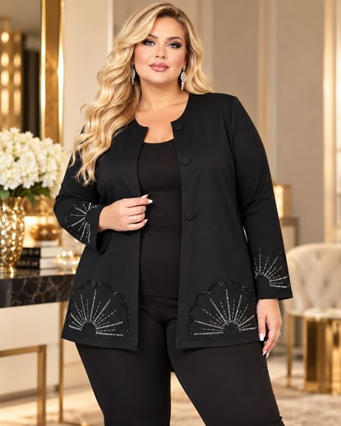 Picture of ELEGANT JACKET WITH SEQUENCE